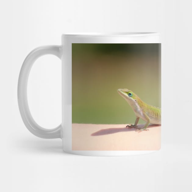 Carolina Anole by Cynthia48